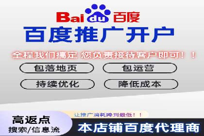 行业领先企业的sem竞价策略：成功案例剖析